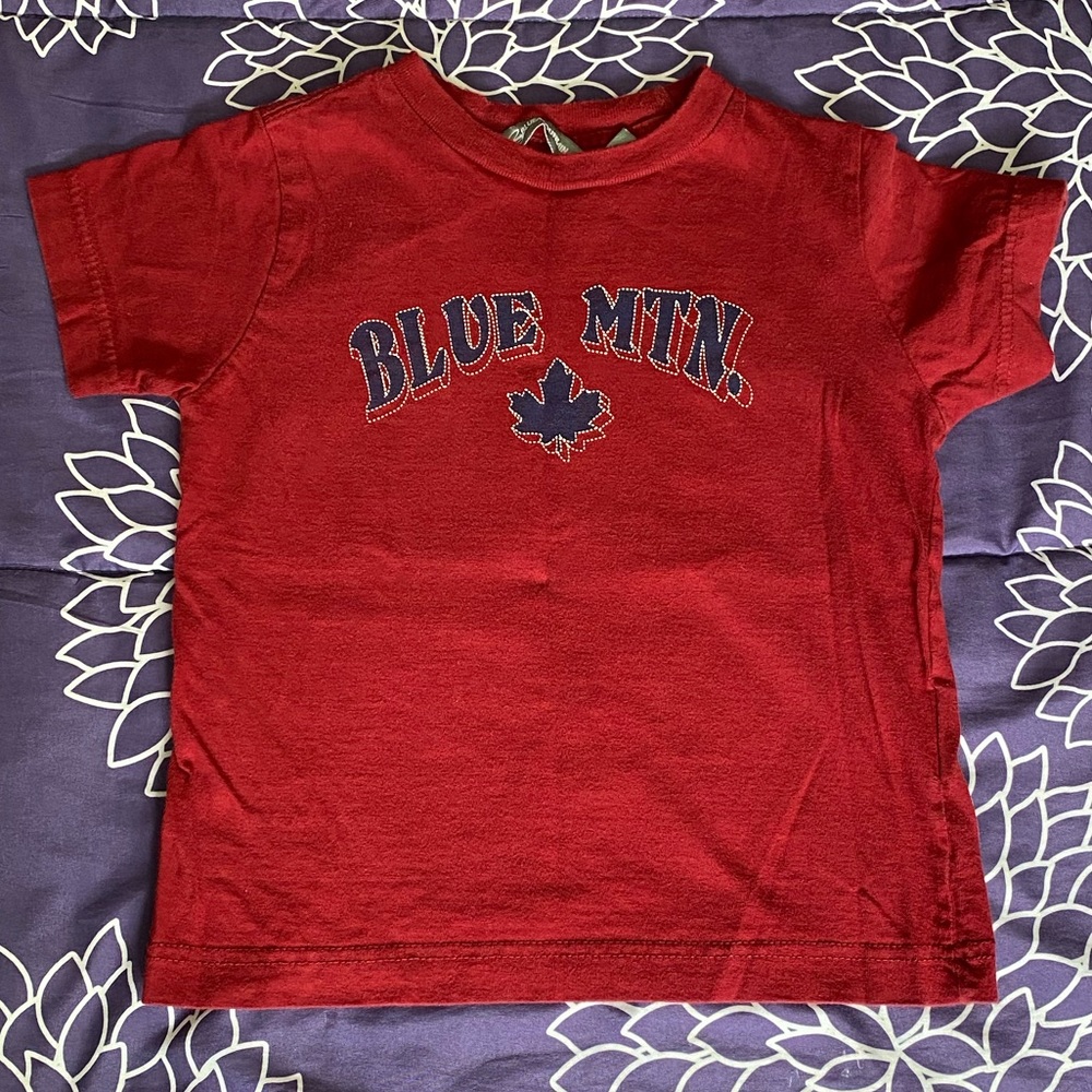 Blue mountain t-shirt size 3T